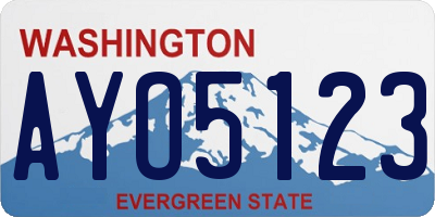 WA license plate AYO5123