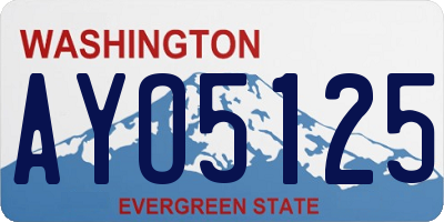 WA license plate AYO5125