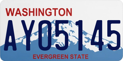 WA license plate AYO5145