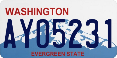 WA license plate AYO5231