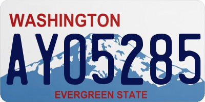 WA license plate AYO5285