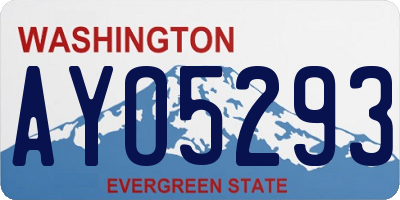 WA license plate AYO5293