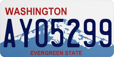 WA license plate AYO5299