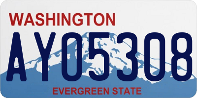 WA license plate AYO5308