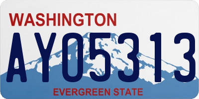WA license plate AYO5313