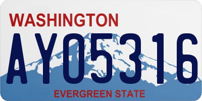 WA license plate AYO5316