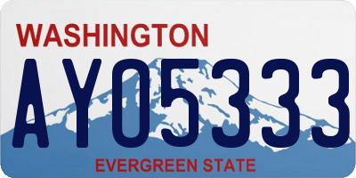 WA license plate AYO5333