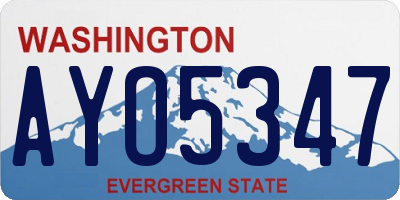 WA license plate AYO5347