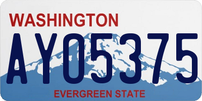 WA license plate AYO5375