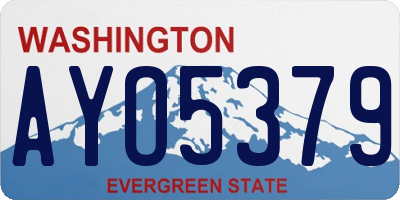 WA license plate AYO5379