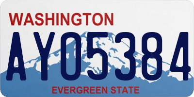 WA license plate AYO5384