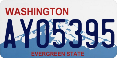 WA license plate AYO5395