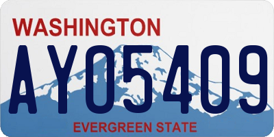 WA license plate AYO5409