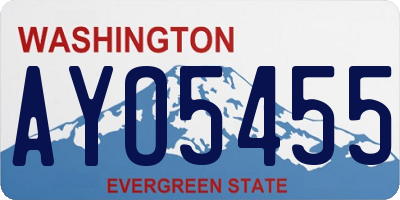 WA license plate AYO5455