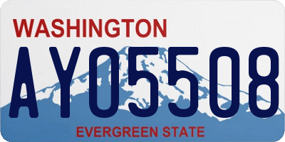 WA license plate AYO5508