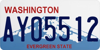 WA license plate AYO5512