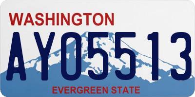 WA license plate AYO5513