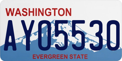 WA license plate AYO5530