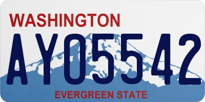 WA license plate AYO5542