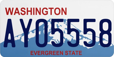 WA license plate AYO5558