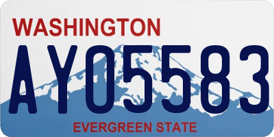 WA license plate AYO5583