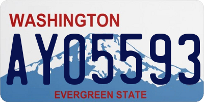 WA license plate AYO5593