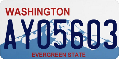WA license plate AYO5603