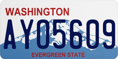 WA license plate AYO5609