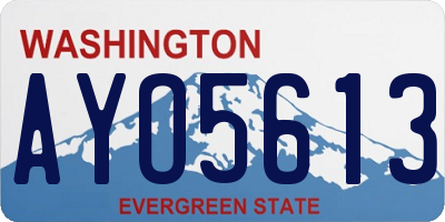 WA license plate AYO5613