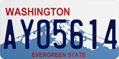 WA license plate AYO5614