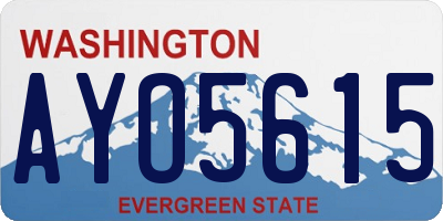 WA license plate AYO5615