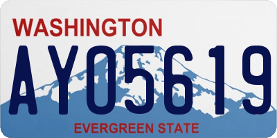 WA license plate AYO5619