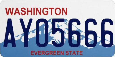 WA license plate AYO5666