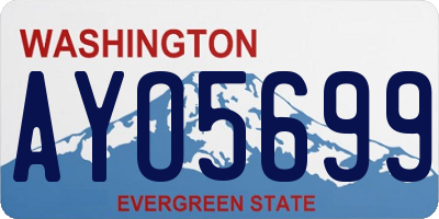 WA license plate AYO5699