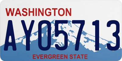 WA license plate AYO5713
