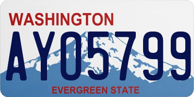 WA license plate AYO5799