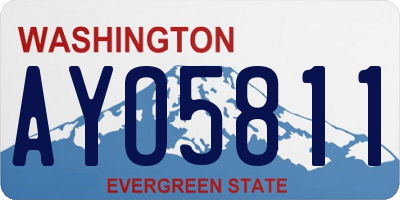WA license plate AYO5811