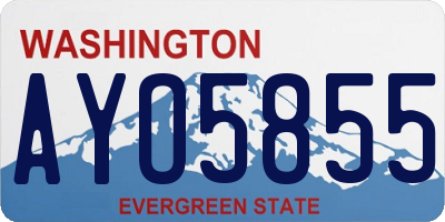 WA license plate AYO5855