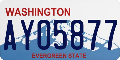 WA license plate AYO5877