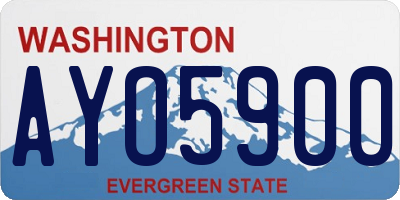 WA license plate AYO5900