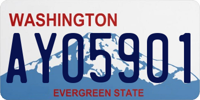 WA license plate AYO5901