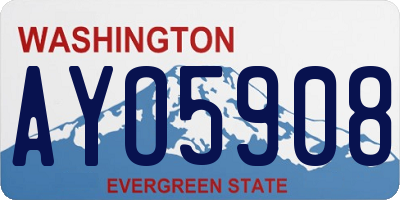 WA license plate AYO5908