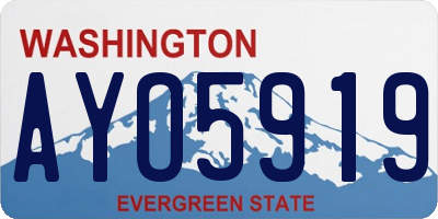 WA license plate AYO5919