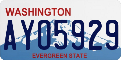 WA license plate AYO5929