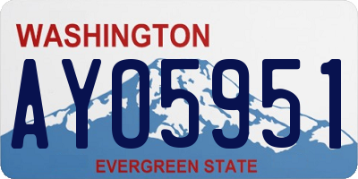 WA license plate AYO5951