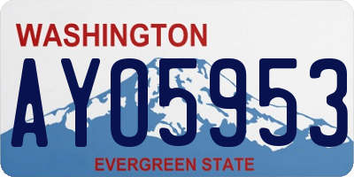 WA license plate AYO5953