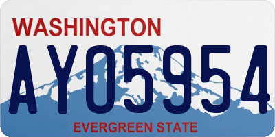WA license plate AYO5954