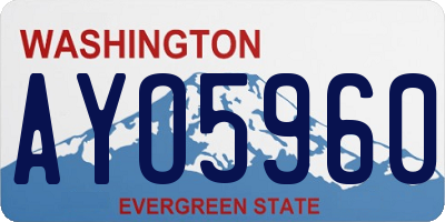 WA license plate AYO5960