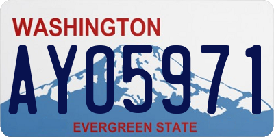 WA license plate AYO5971
