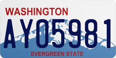 WA license plate AYO5981